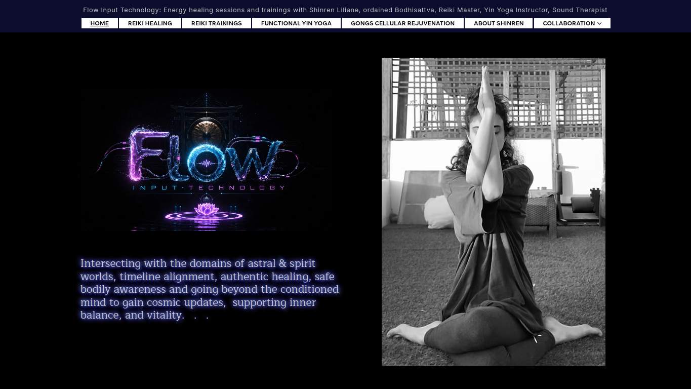 Screenshot of https://flowinputtechnology.net/ Screenshot of https://flowinputtechnology.net/