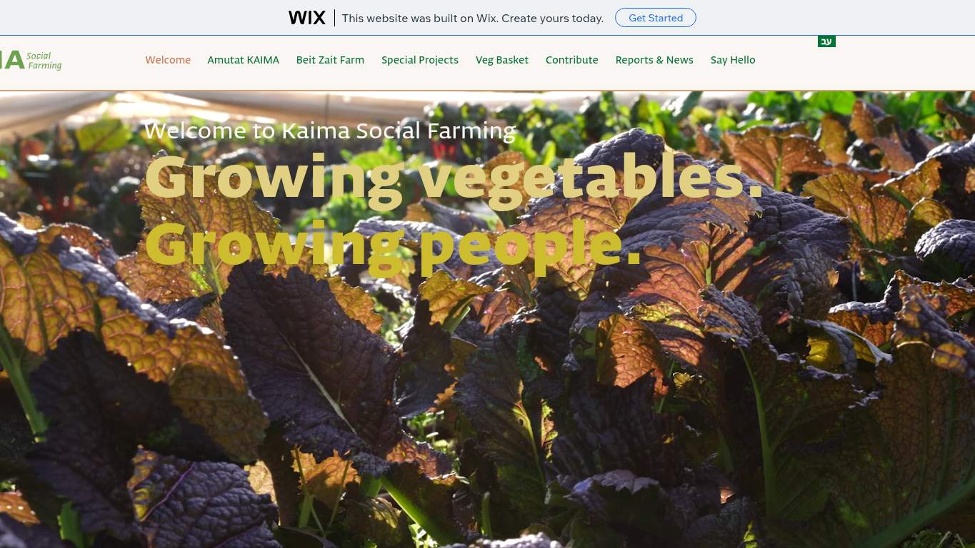 Screenshot of https://kaimaoffice.wixsite.com/website-2/en-home Screenshot of https://kaimaoffice.wixsite.com/website-2/en-home